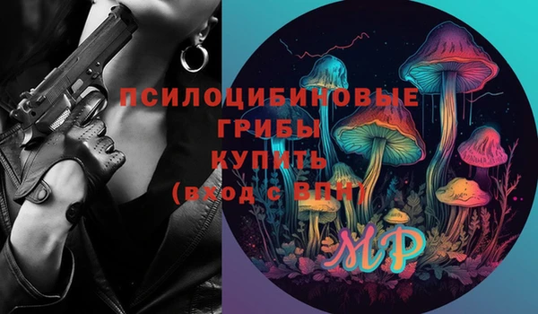 прущие грибы Алексин
